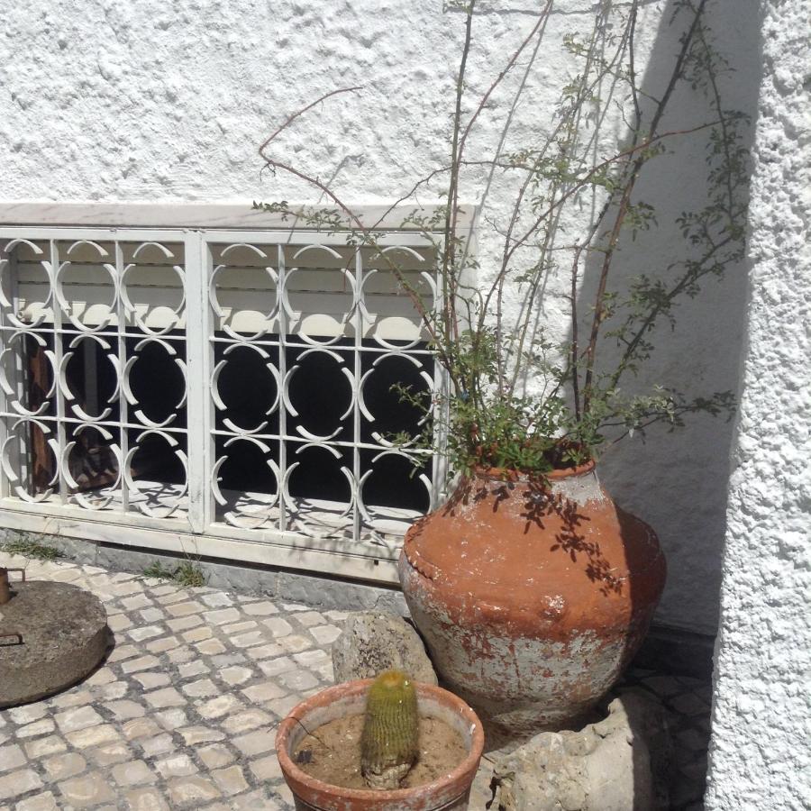 Gasthaus Casa Dos Cedros Setúbal Exterior foto